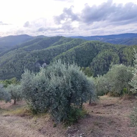 Umbria In Relax! Villa San Venanzo Exterior photo