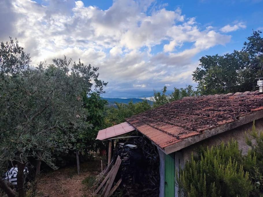 Umbria In Relax! *