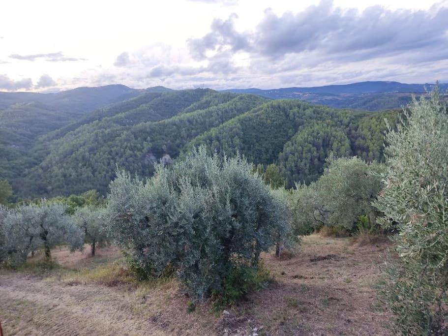 Umbria In Relax! San Venanzo