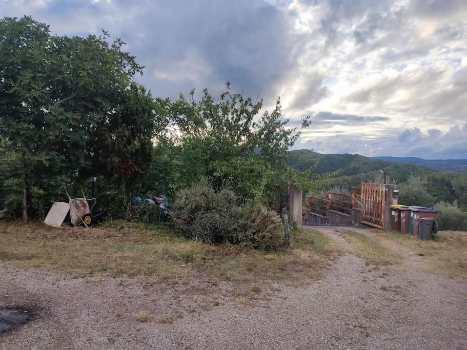 Umbria In Relax! * San Venanzo
